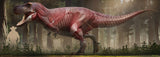 Tyrannosaurus rex Anatomy