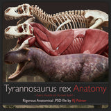Tyrannosaurus rex Anatomy